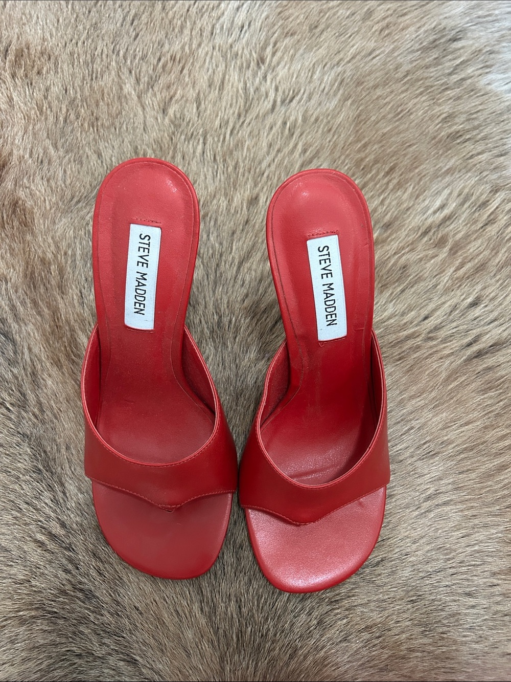 Brand New - Steve Madden Red Heels